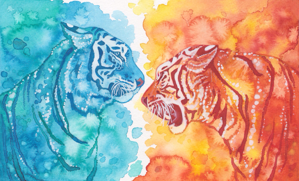 56906006e3e2aceed9fc5d37fb1ec493